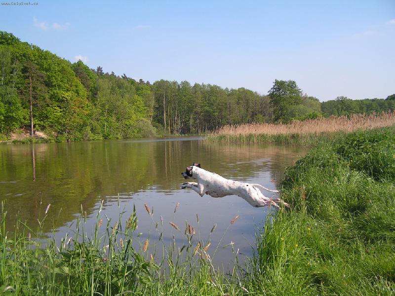 Foto: Diablo ze Štípek-skok do vody