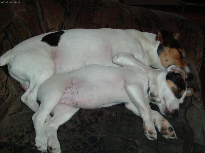 Foto: Relaxace-To je pohodička.....