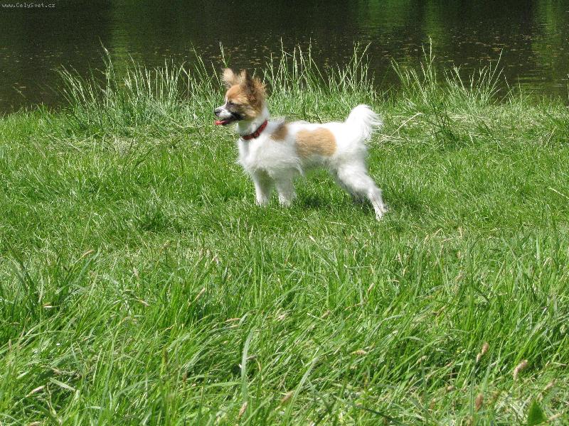 Foto: Barbie-Barbinka na výletě