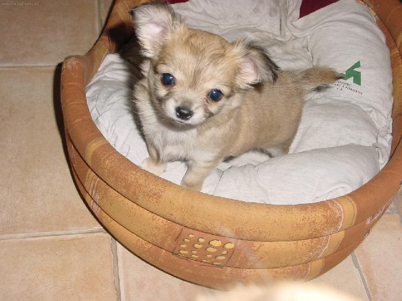 Foto: jsem už velkej kluk