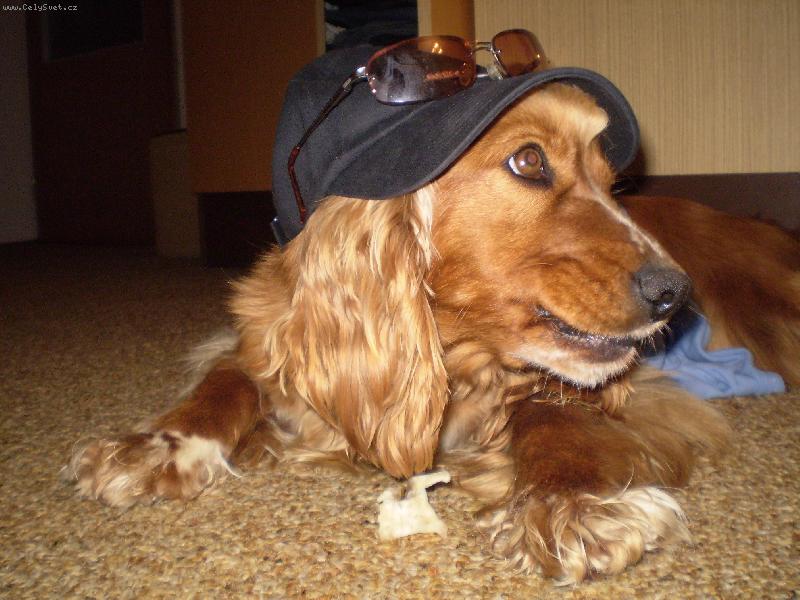 Foto: Niki-Jsem připravená na léto