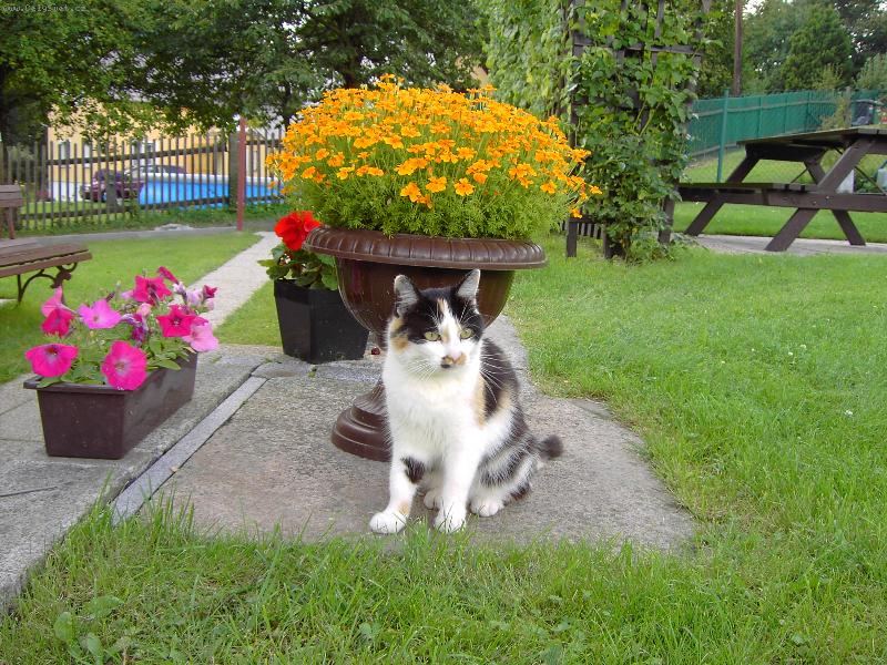 Foto: Lízinka-Na naší zahradě