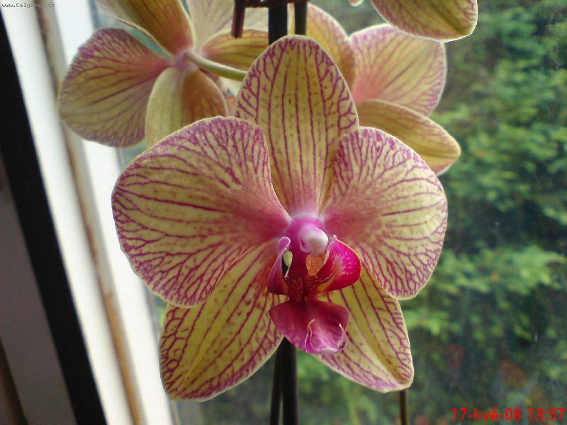 Foto: Jedna z mé sbírky