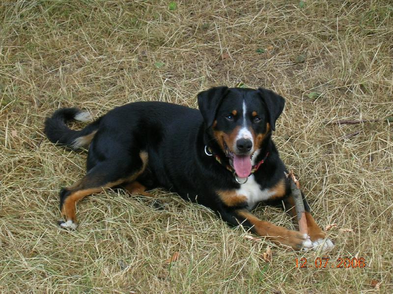 Foto: můj miláček