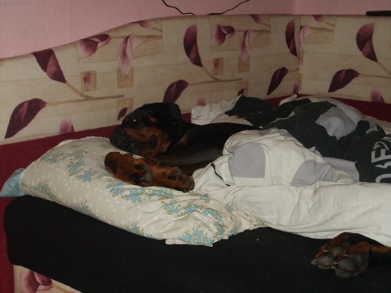 Foto: Spící andílek:-)