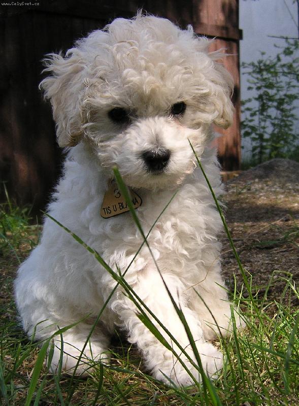 Foto: Vilíkovi je 8 týdnů