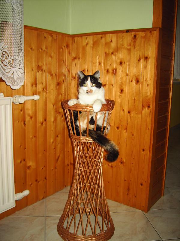 Foto: Líza-To je pohoda