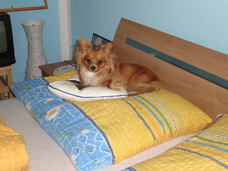 Foto: to si to krásně hajinkám...