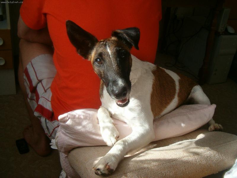 Foto: Bessy-To koukám