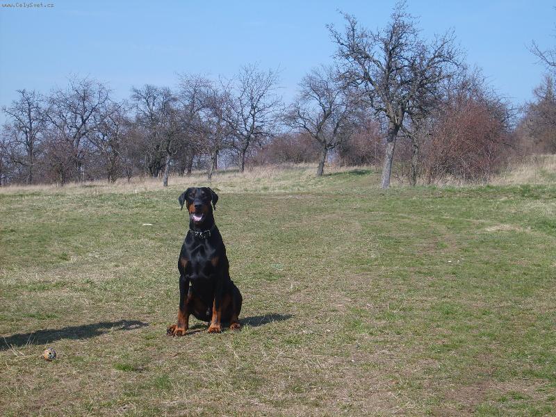 Foto: Arník-náš model