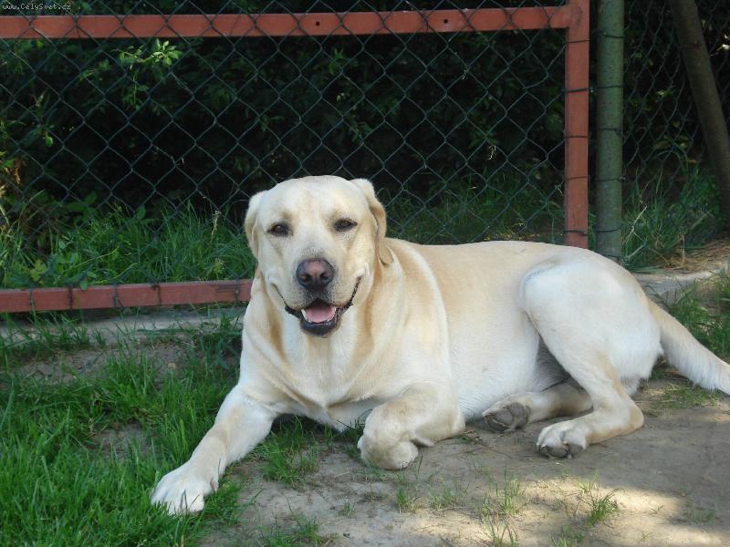 Foto: Maxík-To je ale vedro!!!