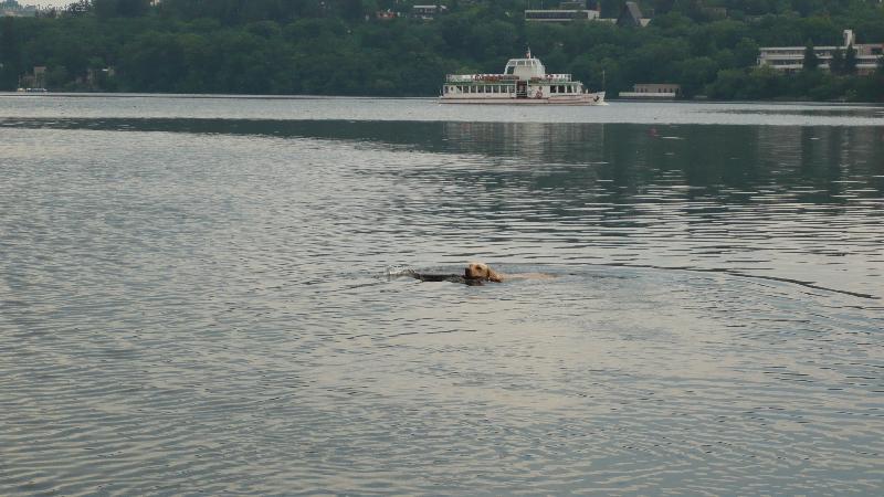 Foto: Přehrada-Bára a parník