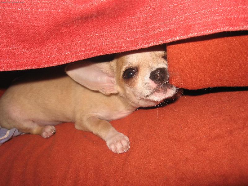 Foto: Luciánek 2-Všechno rozkoušu:))