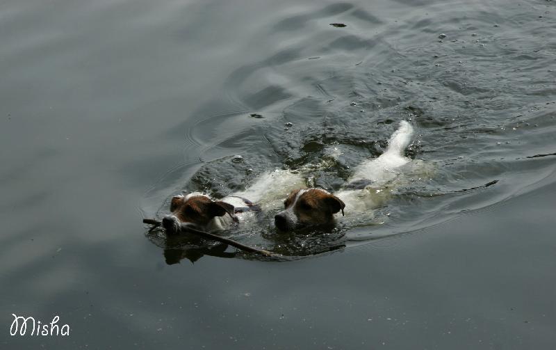 Foto: Scottí a Líra