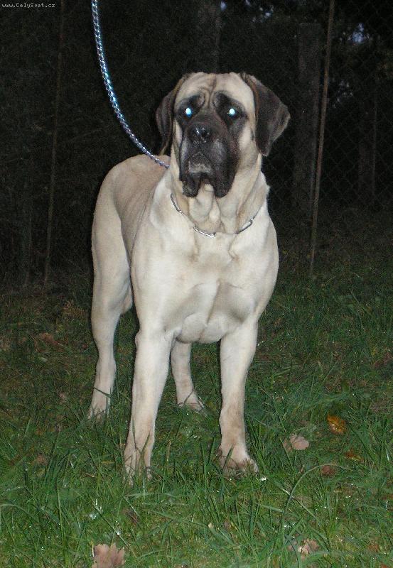 Foto: Hanach Deju Pohoří Anem