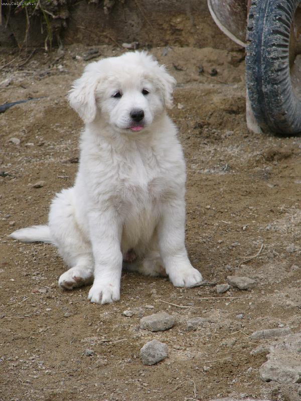 Foto: Andy od Čertova kopýtka