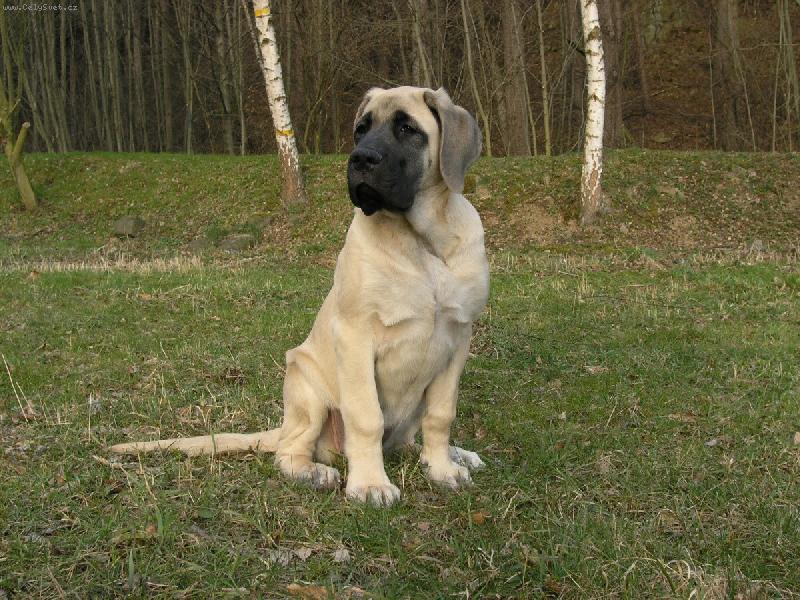 Foto: Bassira 3,5 měsíce