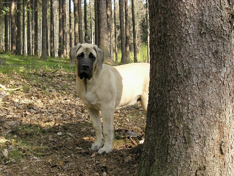 Foto: Bassira 5 měsíců