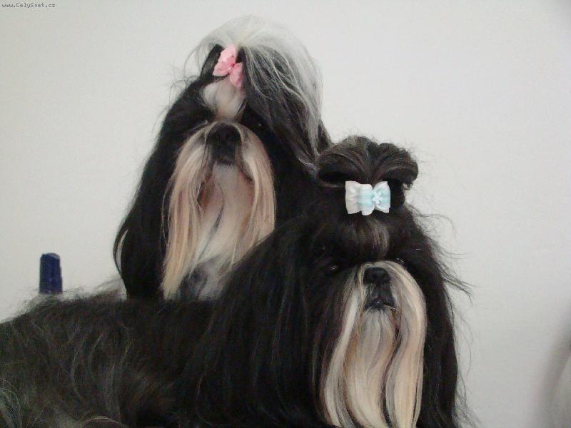 Foto: Miláčkové-Uli a Andy