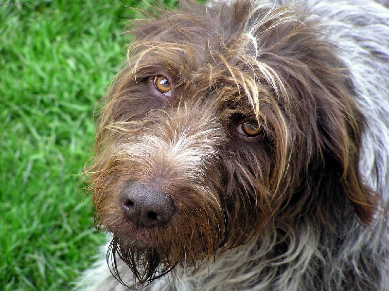 Foto: Tak už pojď!