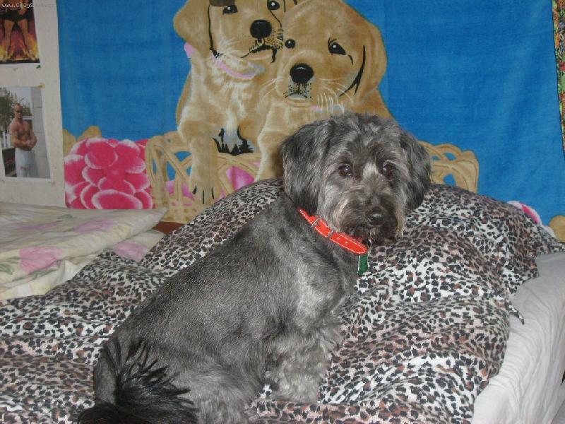 Foto: Naše roztomilá Sárinka-kuk!!:-*