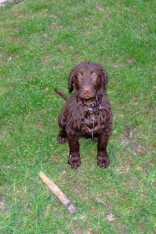 Foto: Arturek-3 a 1/2 měsíce