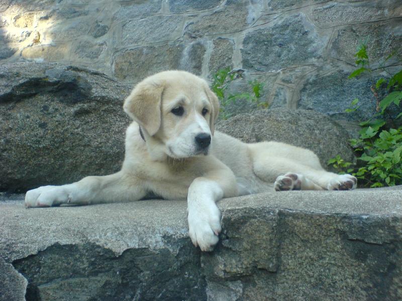 Foto: sheila 3 měsíce-sheila