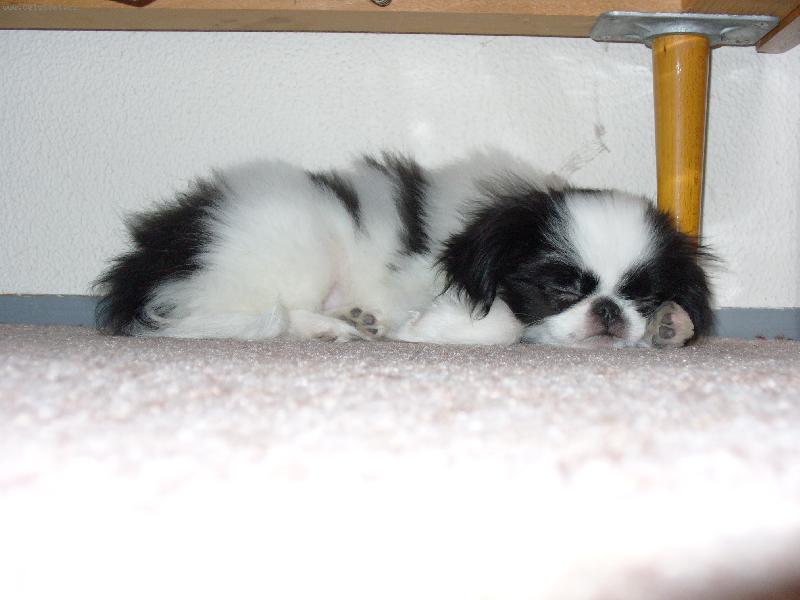 Foto: Co se ti tak asi zdá ??