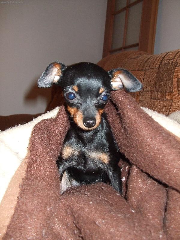 Foto: Meggy-nejlépe mi je teploučku