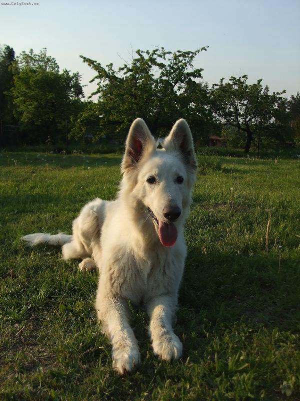 Foto: Baruška-vždycky krásná