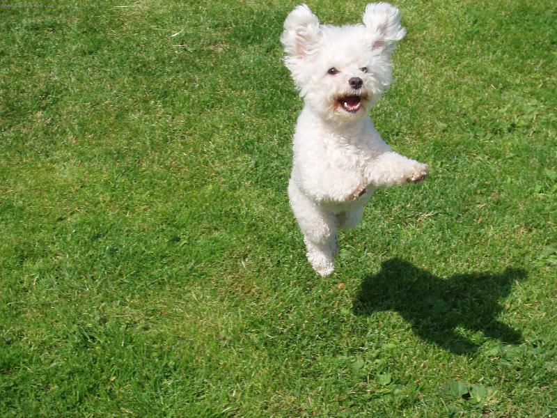 Foto: Létající Anne :-)