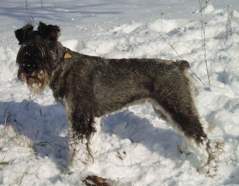 Foto: Cherry-Pěkné bačkůrky