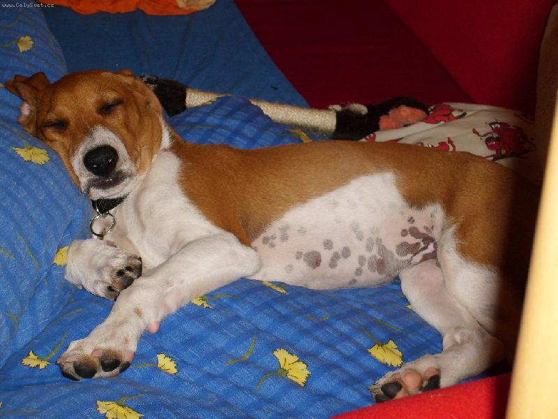 Foto: takhle spinkáme