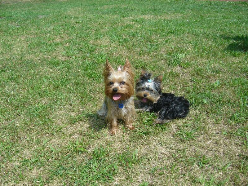 Foto: Mia & Monty z Děčína