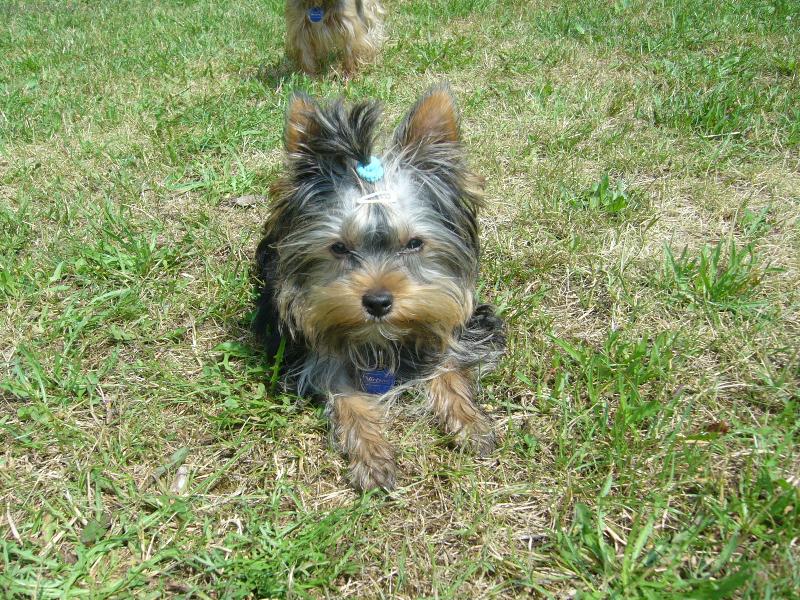 Foto: Monty z Děčína