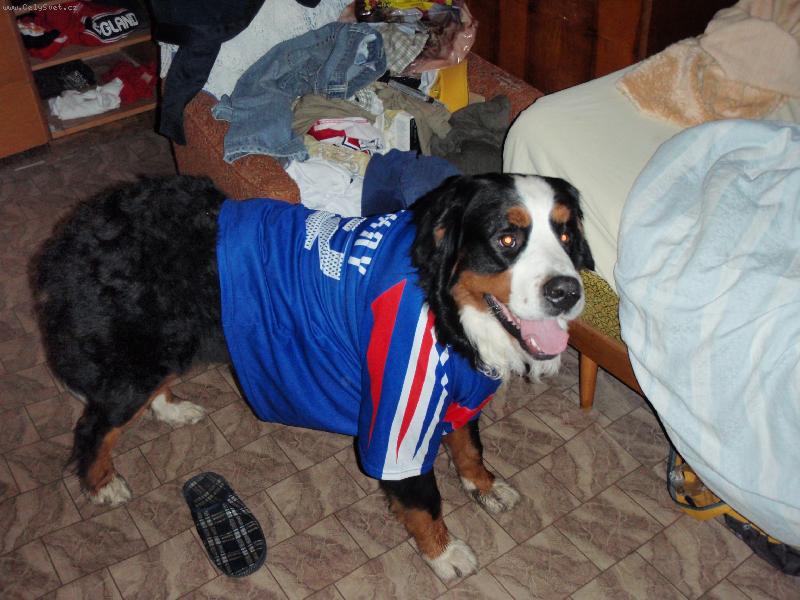 Foto: Bady fotbalista-Hraju dobře hraju rád