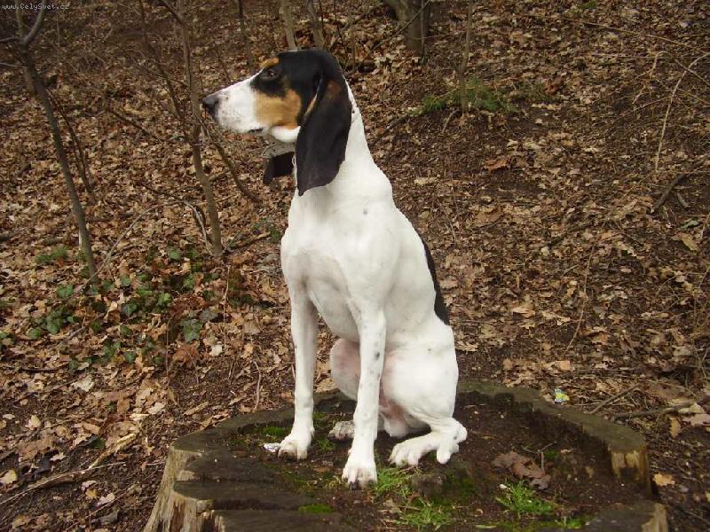 Foto: Endymion Olaska