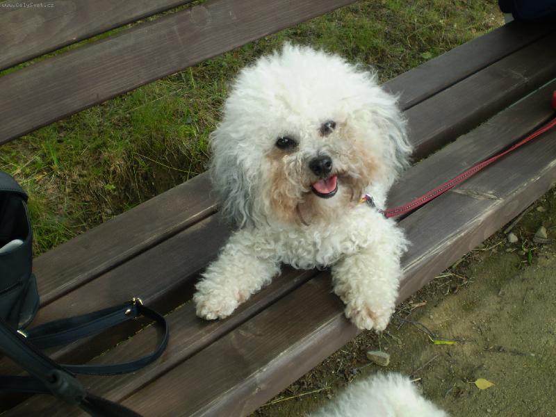 Foto: Odpočinek na lavičce-Po dlouhé túře konečně sedím a odpočívám, ale bylo to prima!