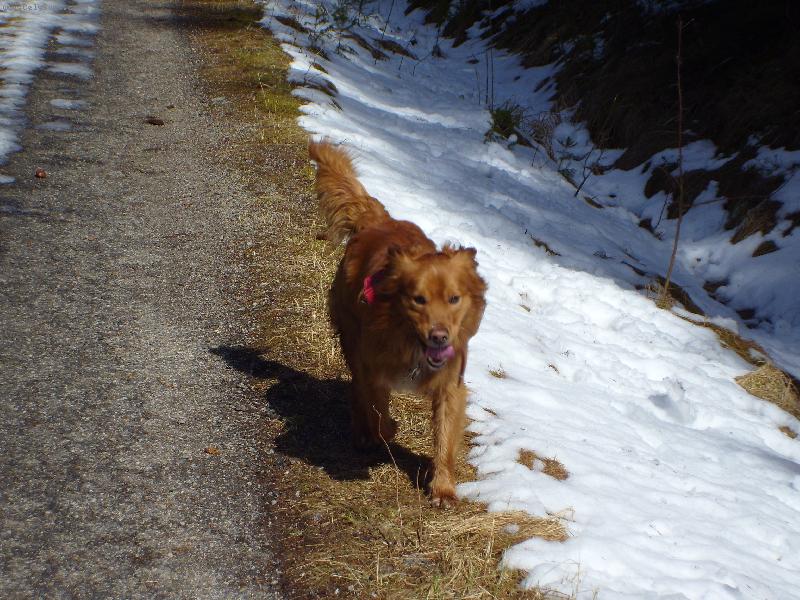 Foto: na útěku :-)