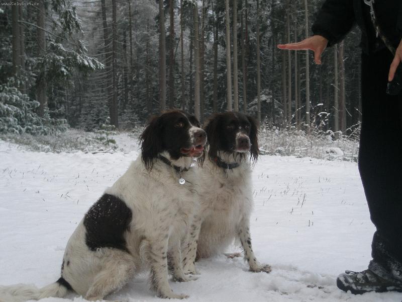 Foto: Sára a Saly Buremi