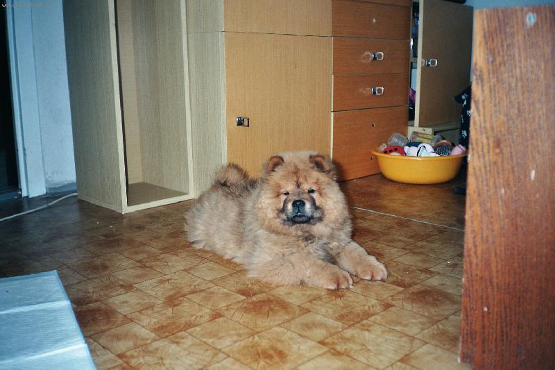 Foto: 6.5.2008 Náš Filípek(1den doma)-6.5.2008 Náš Filípek(1den doma)