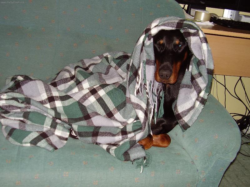 Foto: Po tréninku-Velké vyčerpání :)