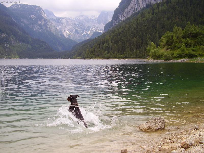 Foto: Dovča-Muluju vodičku!