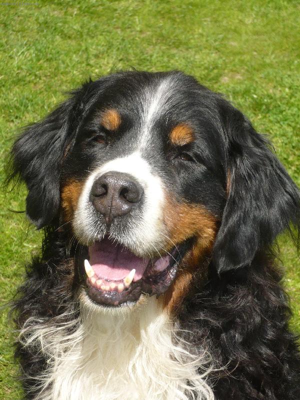 Foto: Úsměv, prosím !-Dyk měl dobrou náladu ;-)