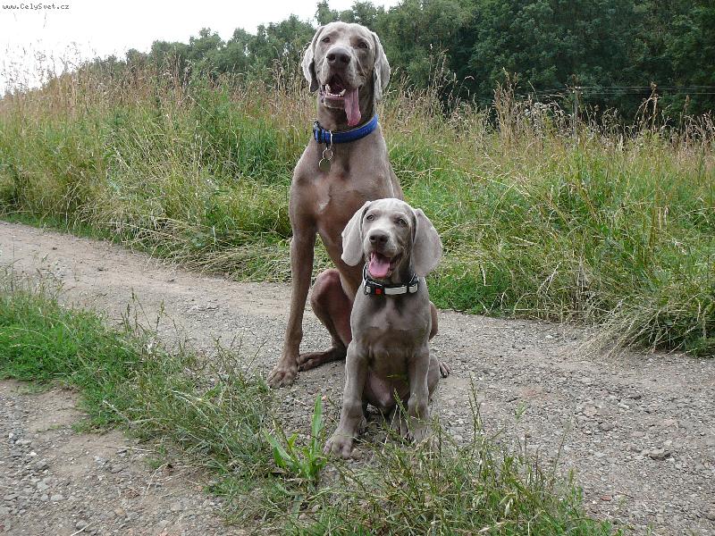 Foto: Faust a Csanto :o)-malá kopie velkýho
