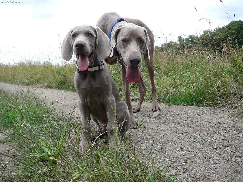 Foto: velkej a malej :o)-Faust a Enzo