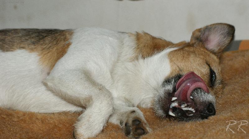 Foto: Babů po večeři..-to jsem se ale nadlábla!!!