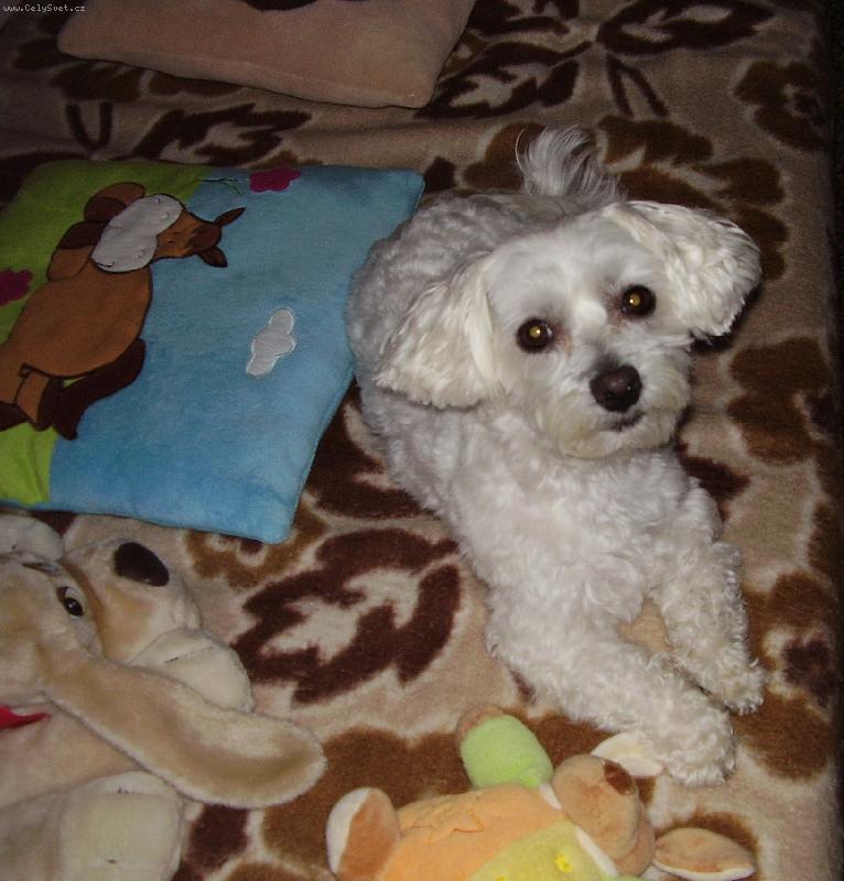 Foto: Náš miláček Samuel