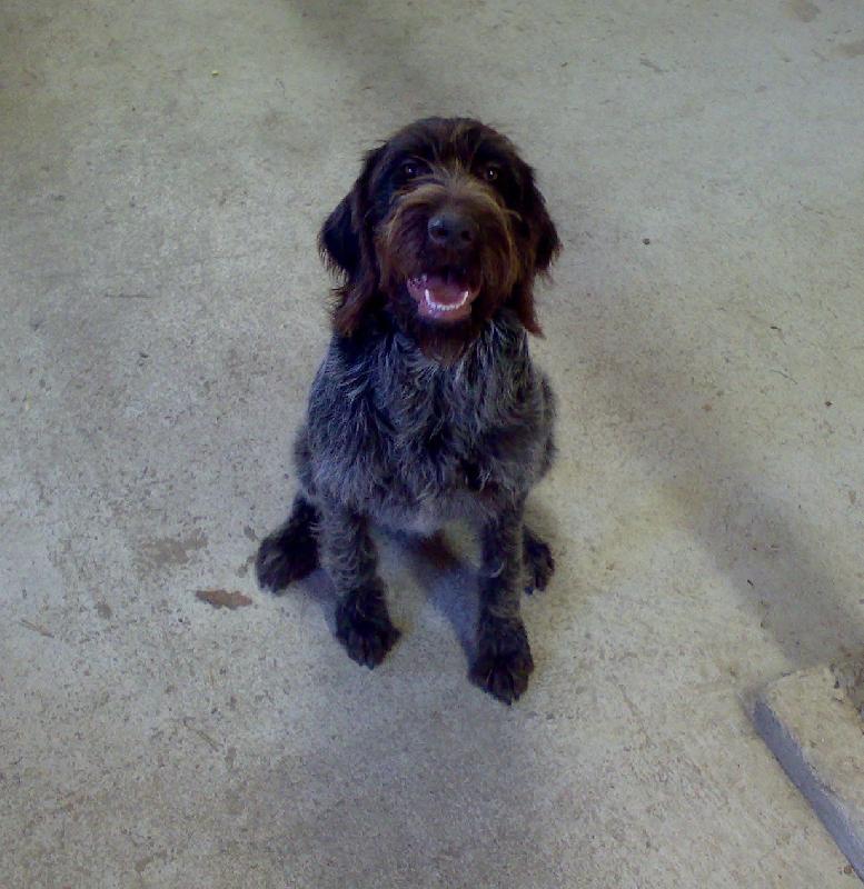 Foto: Alma z Lovčických tarasů