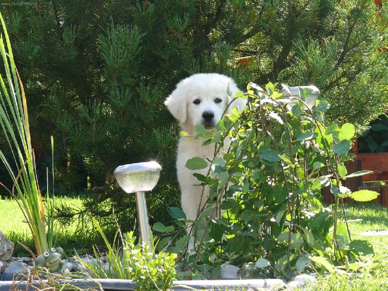 Foto: Tady mě snad nenajdou...